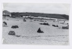 Beesands